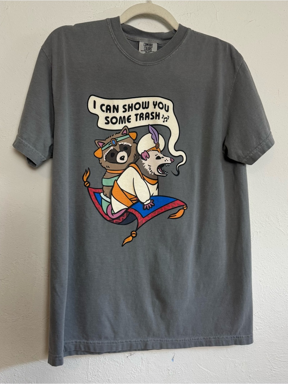 Raccoon & Opossum I Can Show You Some Trash Graphic Tshirt